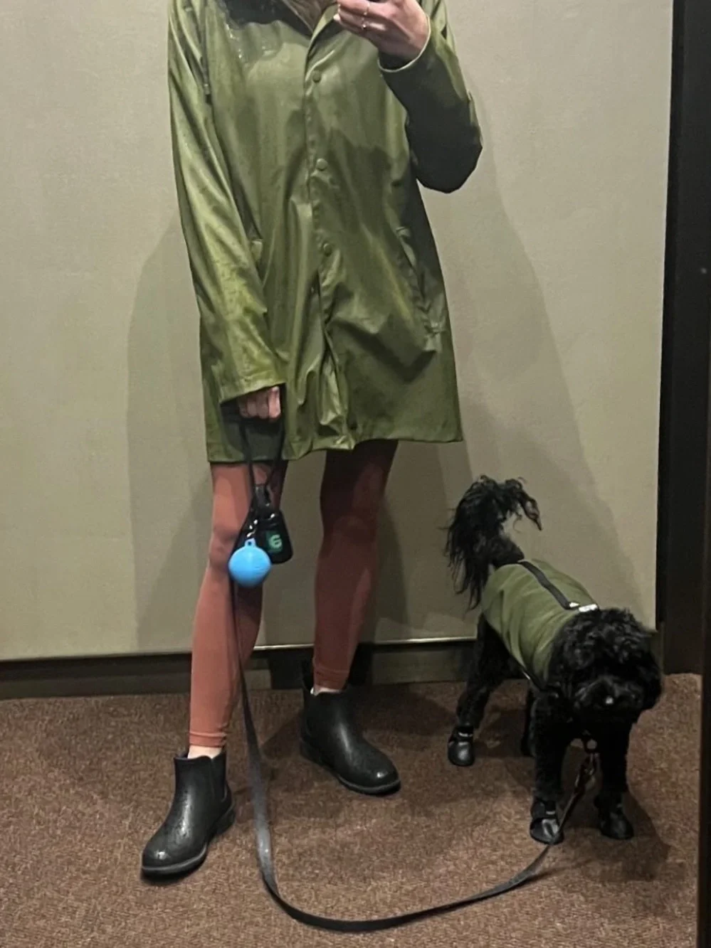 All Weather Dog Jacket - Olive Green - wildbeast